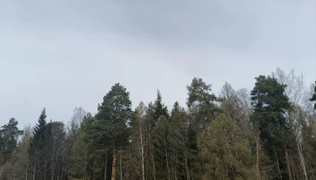 Курсы английского языка в Нововоронеже