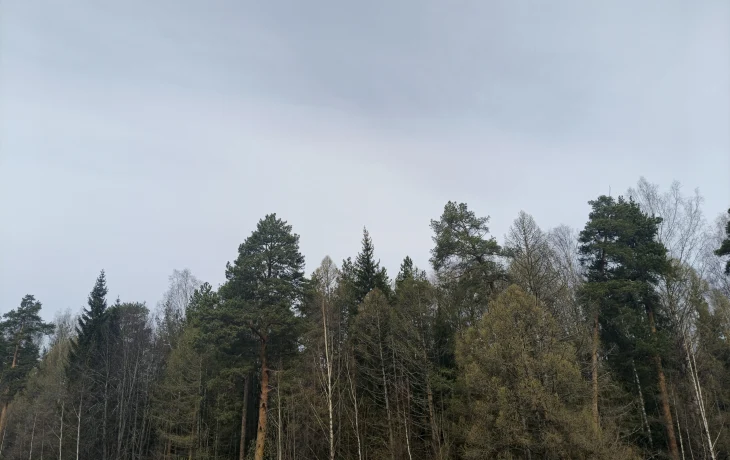 Курсы английского языка в Нововоронеже